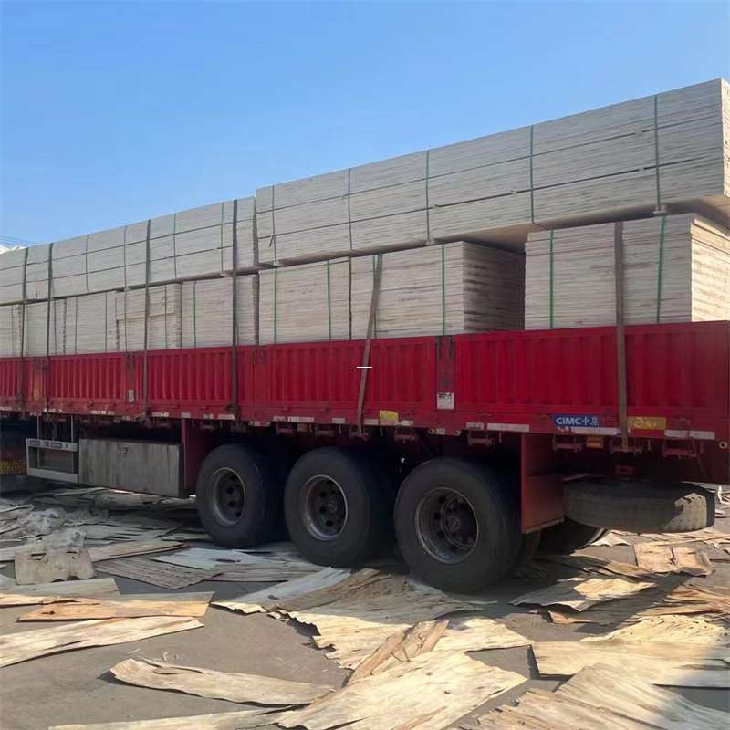 玉树市探寻会东县进仓物流的多元运输奥秘