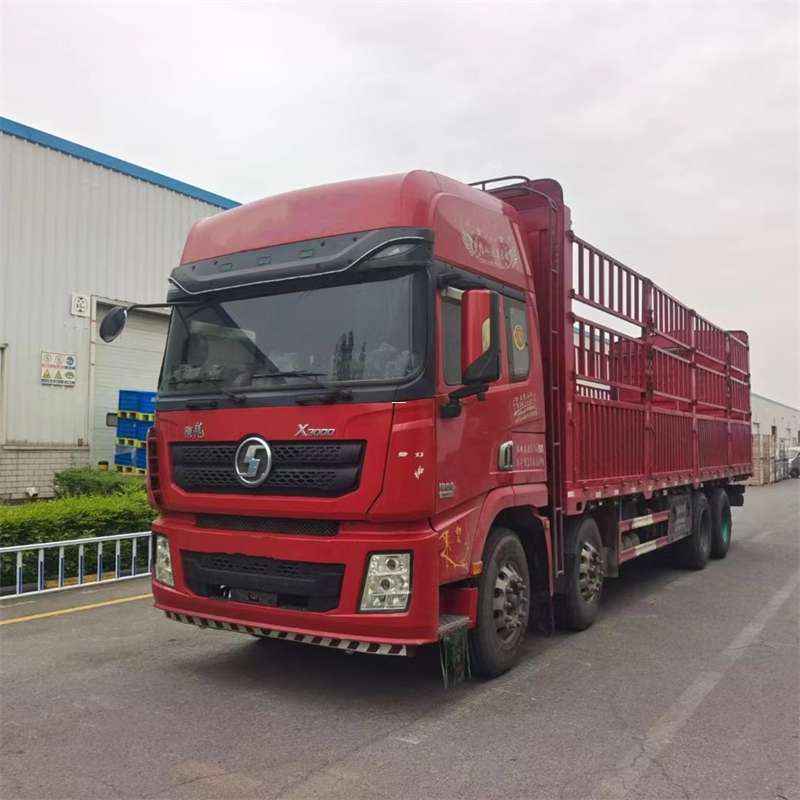 玉树市石棉县物流专线的高效运输之旅